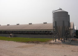 Wessling Hog Barn Wessling Hog Barn