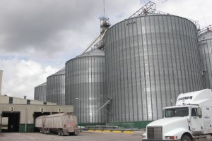 Bins for sorghum and corn