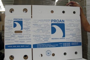Egg boxes for export