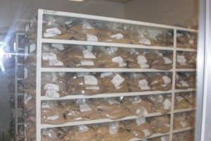 samples in the PROAN laboratory