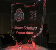 Moser Scholars Program_web