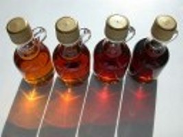 Ohio Maple Days_web