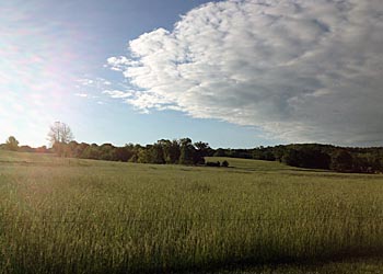 2013_MO_hay_story