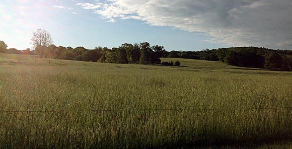 Missouri hay field