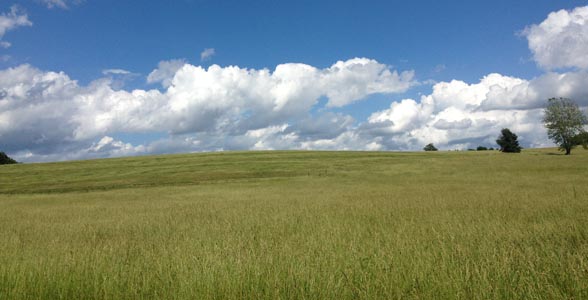 Missouri hay field