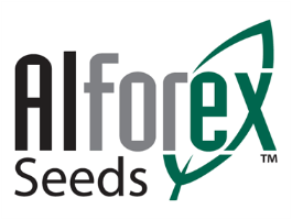 Alforex seeds