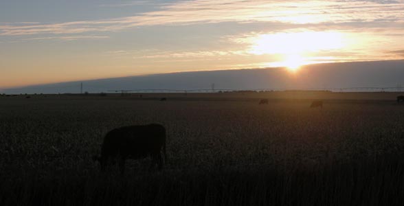 Sunrise in Doniphan, Nebraska