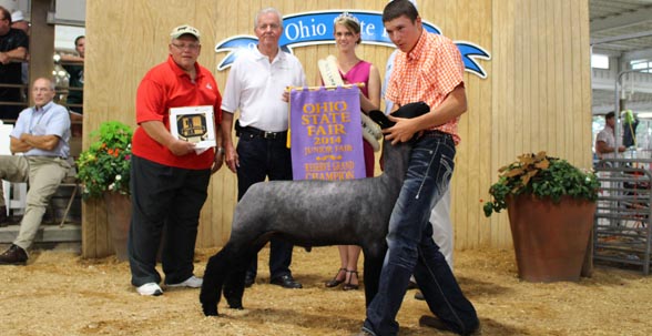 2014 Ohio State Fair Reserve Grand Champion Jr Market Lamb exhibited by Colin Gump, Fletcher OH