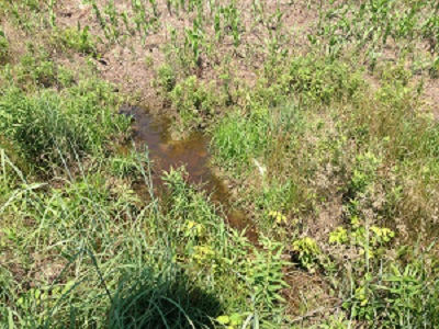 EPA's Gina McCarthy says this water left in channel on Bill Heffernan's upland Missouri farmland won't be regulated