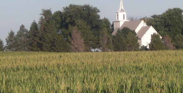 Corn field near Perry, Iowa