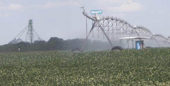 Pivot irrigated soybeans near Hampton, Nebraska