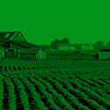 Rural Issues copy