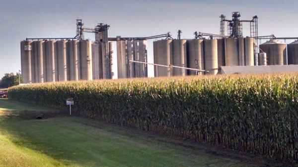 Ballots for Iowa coop merger are in the mail Brownfield Ag News