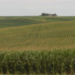 Illinois farm lender saw growth in 2016