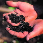 Iowa State University to host Soil Health Conference