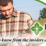 Farm Credit Insider