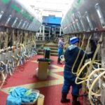 Dairy producers worry about immigration crackdown