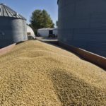 Checkoff Programs Build Soybean Demand