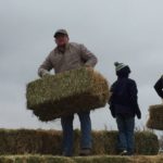 Relief efforts continue to help farmers and ranchers impacted by wildfires