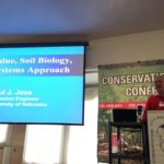 Cover crops: understand your needs