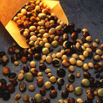 Missouri soybean varieties improved with checkoff supported research