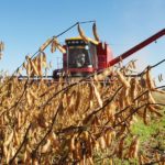 Traders will be watching the Brazilian soybean estimate