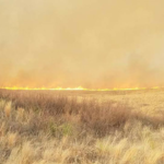 Iowans plan fundraiser for wildfire victims