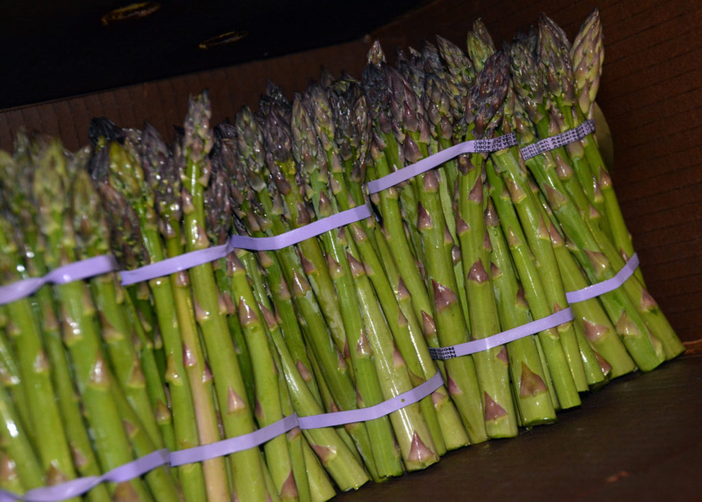 First Michigan asparagus harvest wiped out by frost Brownfield Ag News