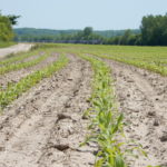Warm weather dries South Dakota soil