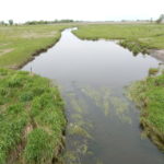 Illinois soils saturated
