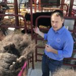 Students see cow/calf up close and learn about beef