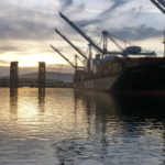 Dried distillers grains exports grow