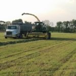 Tight window for 1st cutting alfalfa