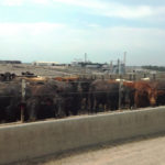 Nebraska stands to benefit ‘greatly’ from China beef deal