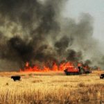 MO State Fair Foundation raising funds for wildfire relief