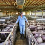 Second annual ‘Animal Health in the Heartland’ symposium coming up in July