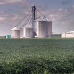 K.C. Fed: Regional farm sector stress intensifies