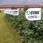 Stine Seed signs up as licensee for Balance GT System