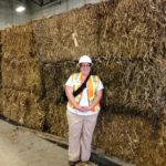 New Minnesota Corn policy director has background in renewables
