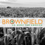 Indiana corn 46%; soybeans 51% good to excellent