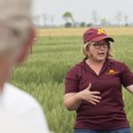 Don’t use fungicide as insurance on small grains
