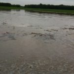 Michigan’s bread basket gets drenched