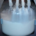 Cropp: Milk prices still expected to rise