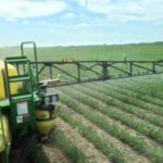 Significant weed pressure in Minnesota
