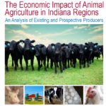 Study shows animal ag is a big contributor to Indiana’s economy