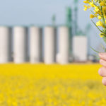 GMO Answers site expands