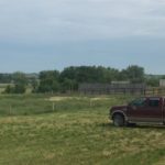 Success with cover crops in Upper Midwest