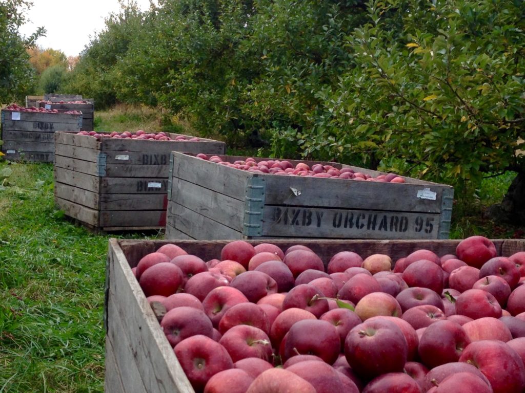 Fruit production increased in 2016 Brownfield Ag News