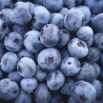Rain accentuates blueberry flavor at start of harvest