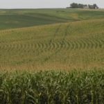 FCSAmerica survey shows ‘relatively stable’ farmland prices